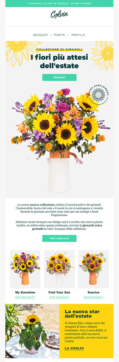 invio_newsletter_colvin invio_newsletter_colvin