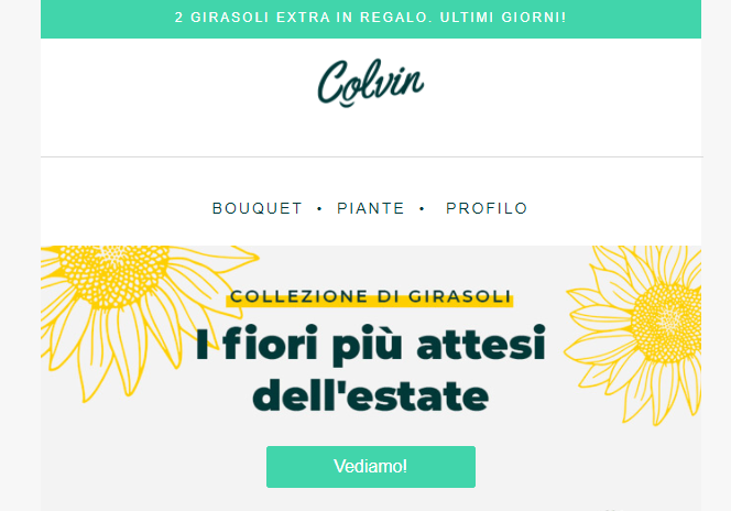 header_newsletter header_newsletter